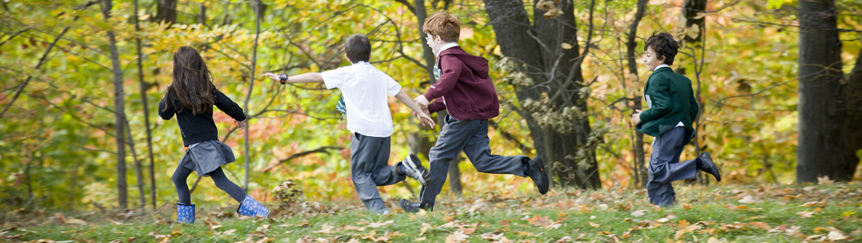 Running in field studies