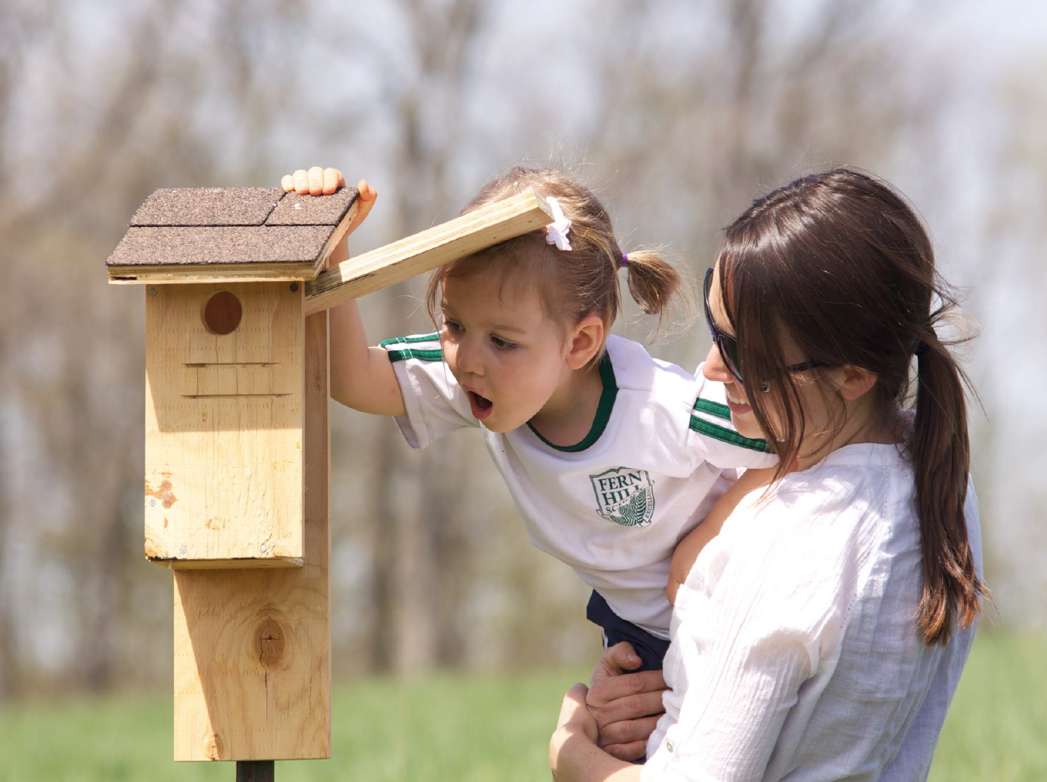 Bird Banding